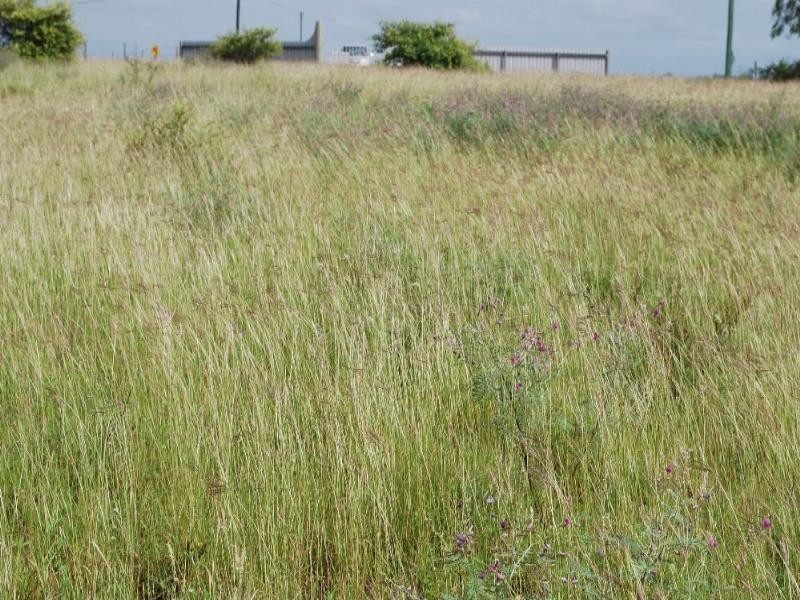 Charters Towers QLD 4820