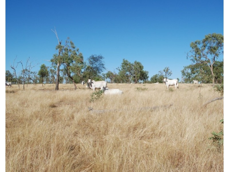 Charters Towers QLD 4820