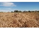Charters Towers QLD 4820