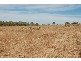 Charters Towers QLD 4820