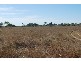 Charters Towers QLD 4820