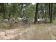 Charters Towers QLD 4820