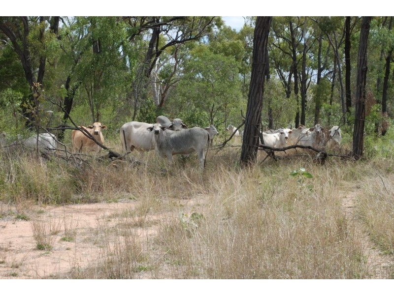 Charters Towers QLD 4820