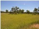 Charters Towers QLD 4820