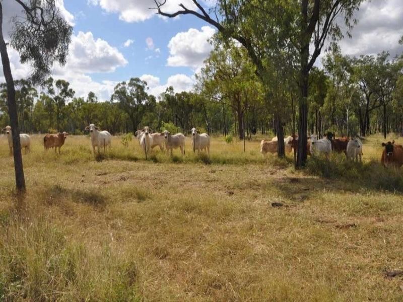 Charters Towers QLD 4820