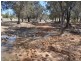 Charters Towers QLD 4820