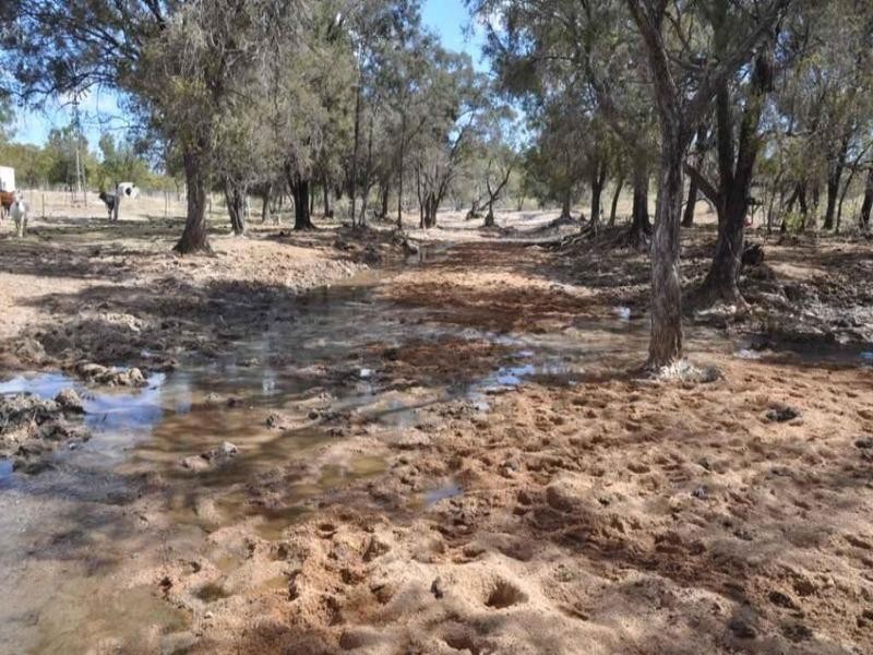 Charters Towers QLD 4820