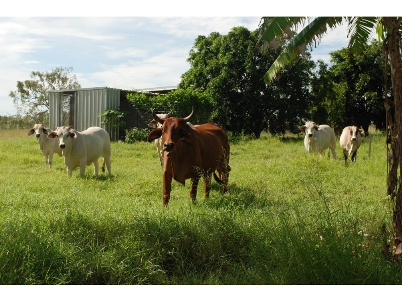 Charters Towers QLD 4820