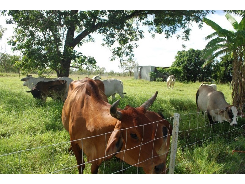 Charters Towers QLD 4820