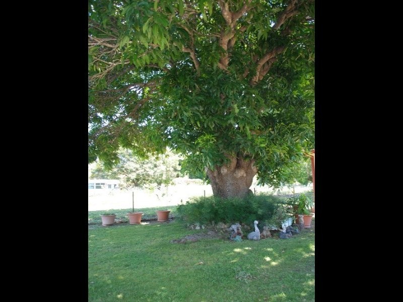 Charters Towers QLD 4820