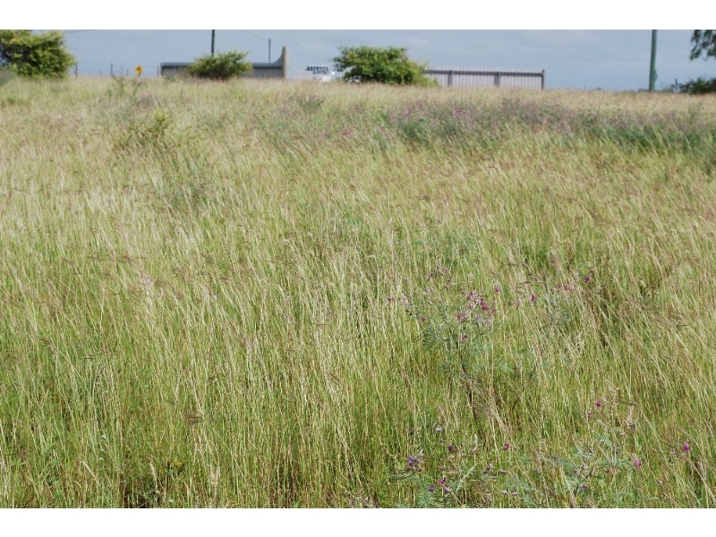 Charters Towers QLD 4820