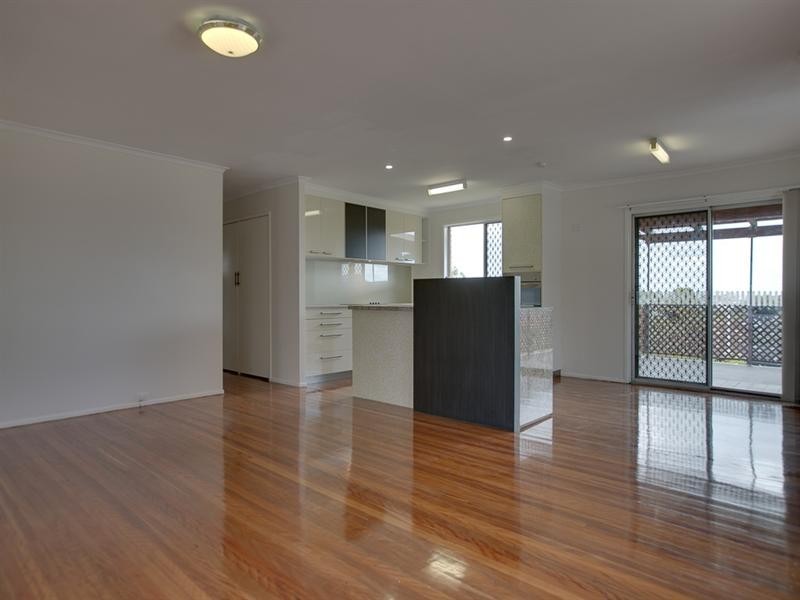 102 Ives Street, Murarrie QLD 4172