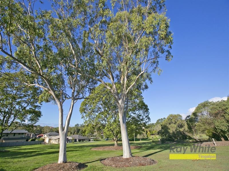 94 Caladium Street, Wakerley QLD 4154