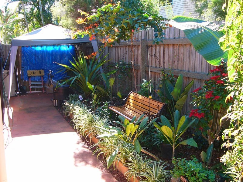 10 Washington Avenue, Tingalpa QLD 4173