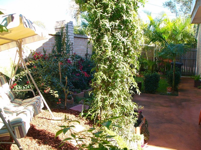 10 Washington Avenue, Tingalpa QLD 4173