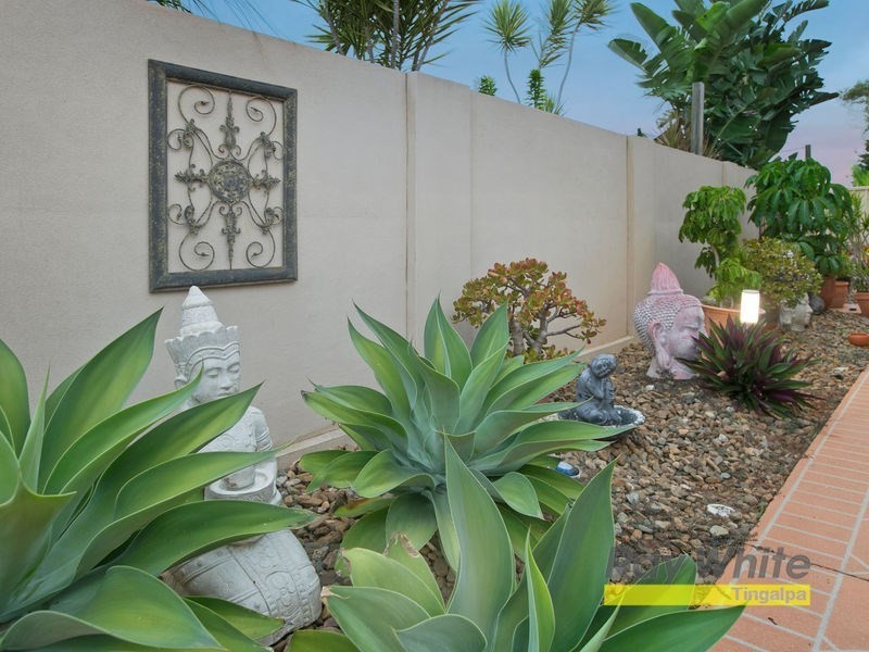 19 BALGOWLAH Street, Wakerley QLD 4154