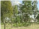 19 O’Reilly Street, Wakerley QLD 4154
