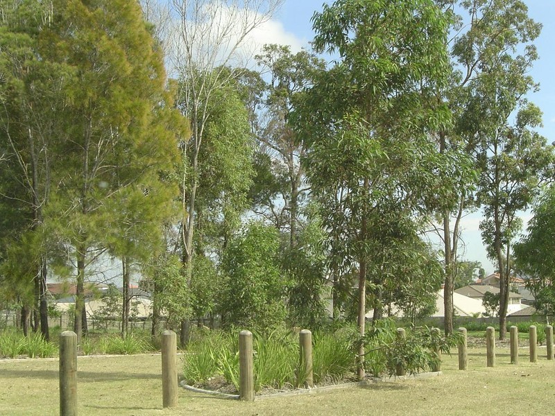 19 O’Reilly Street, Wakerley QLD 4154