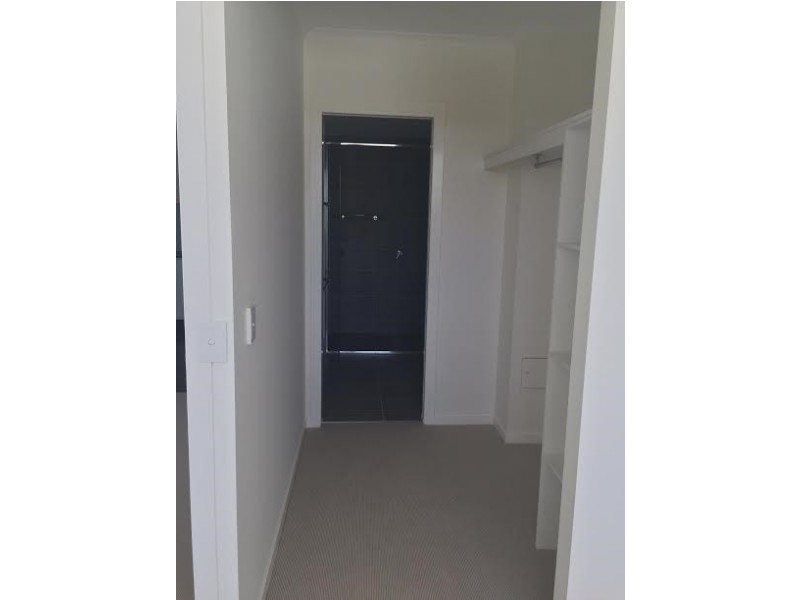 Unit 153 986 Wynnum Road, Cannon Hill QLD 4170