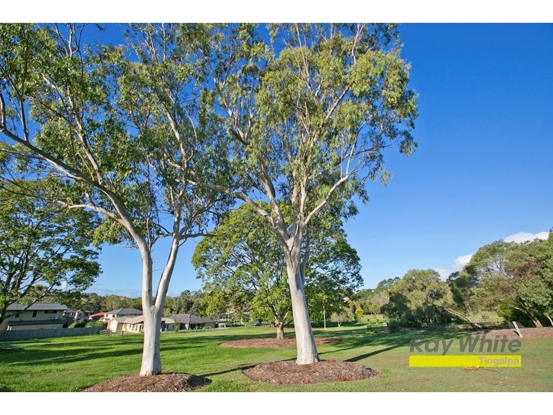 19 LACHLAN Drive, Wakerley QLD 4154