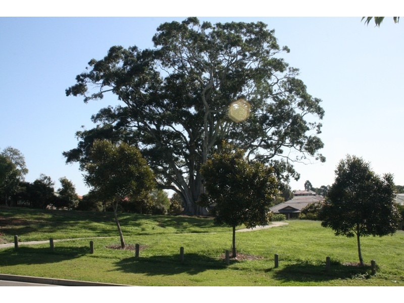 35 Bogong Street, Hemmant QLD 4174