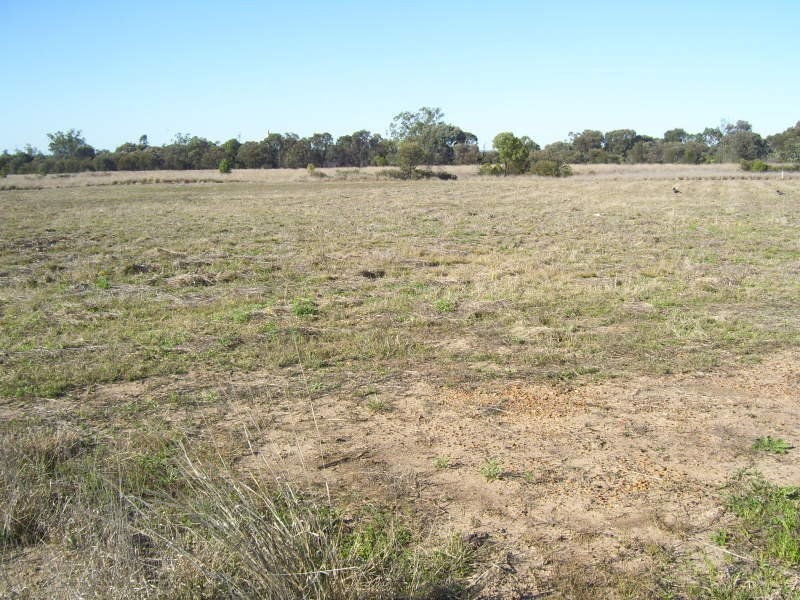 12 Neilsen Street, Wandoan QLD 4419