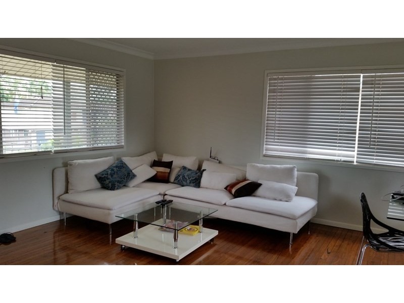 17 Greenslade Street, Tingalpa QLD 4173