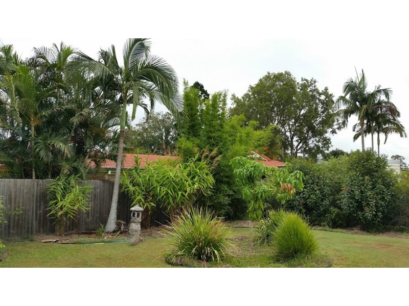 17 Greenslade Street, Tingalpa QLD 4173