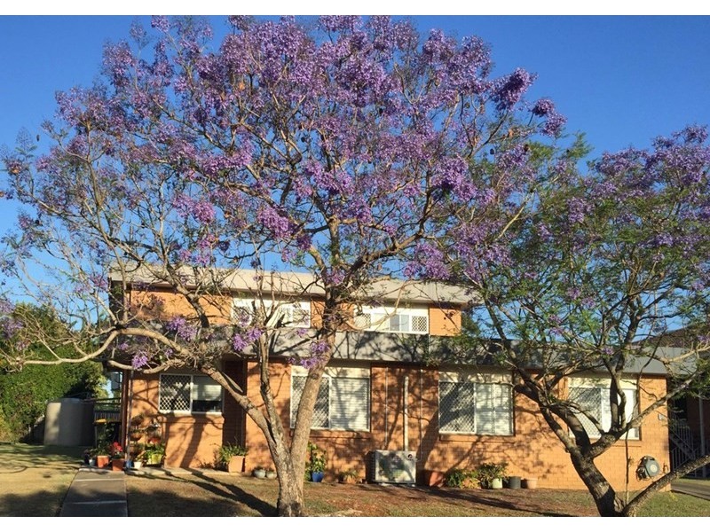 5 Treeby Street, Tingalpa QLD 4173