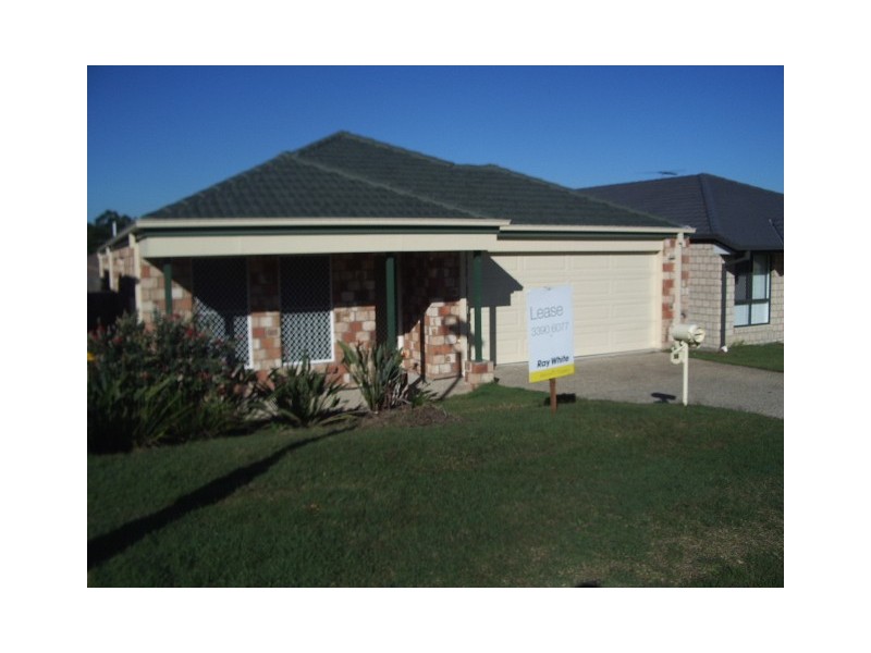 16 Jasmine Street, Wakerley QLD 4154