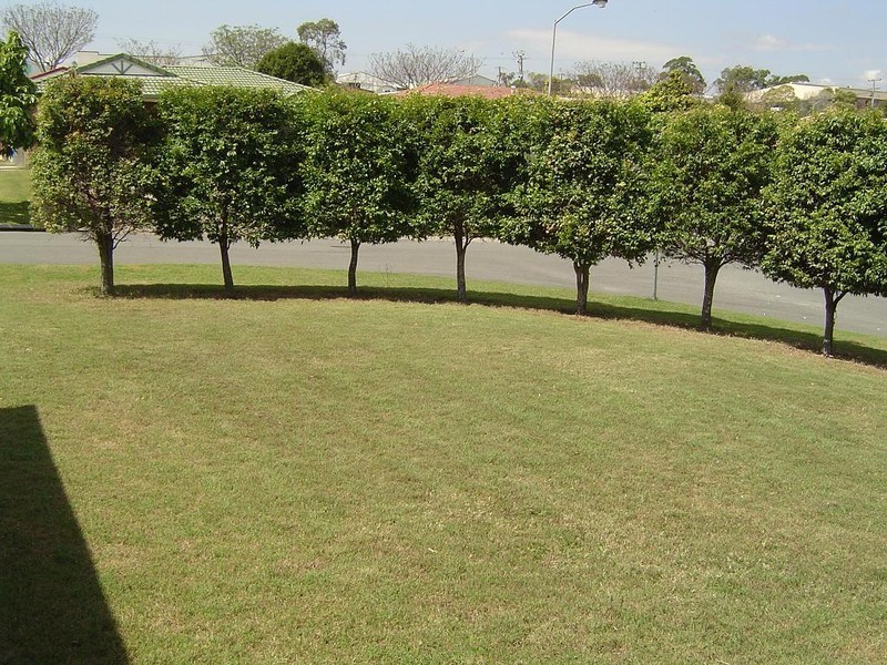 27 Samarinda Street, Tingalpa QLD 4173