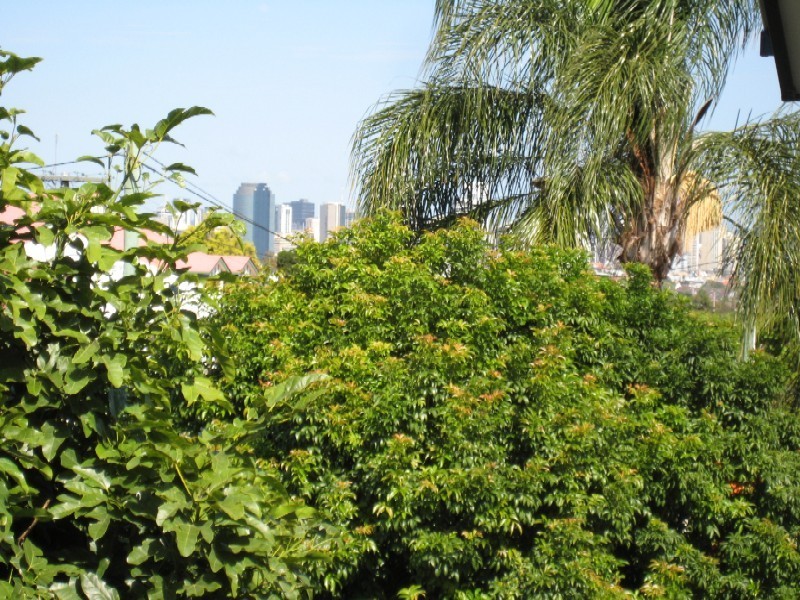 8/110 Pashen Street, Morningside QLD 4170