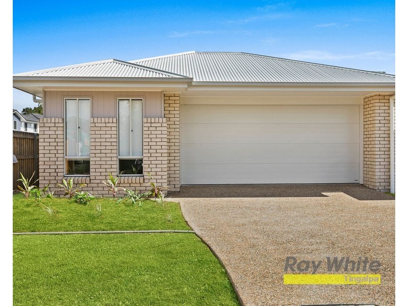 55 Tremain Street, Tingalpa QLD 4173