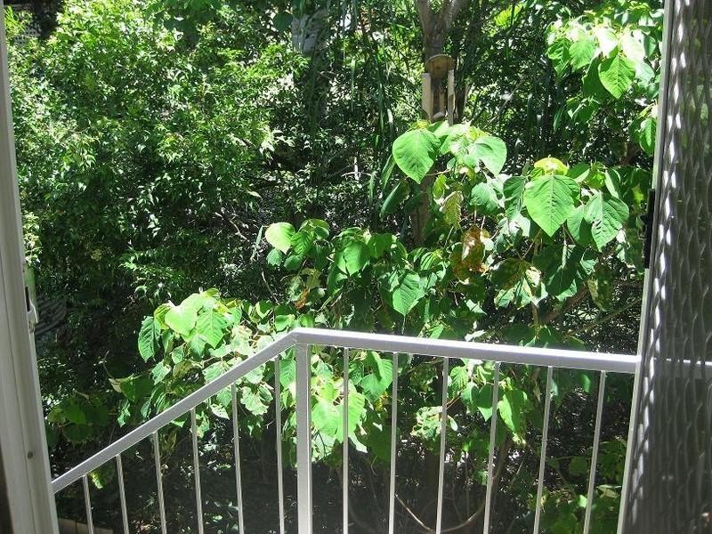 5/154 Gympie Street, Northgate QLD 4013