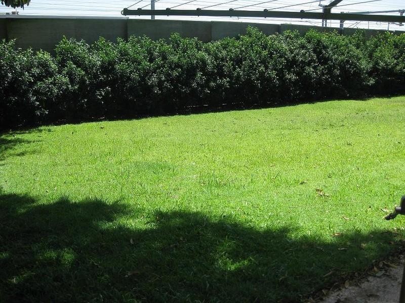 5/154 Gympie Street, Northgate QLD 4013