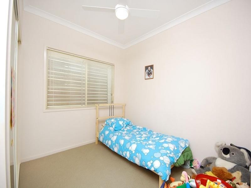 65 Erica Street, Cannon Hill QLD 4170