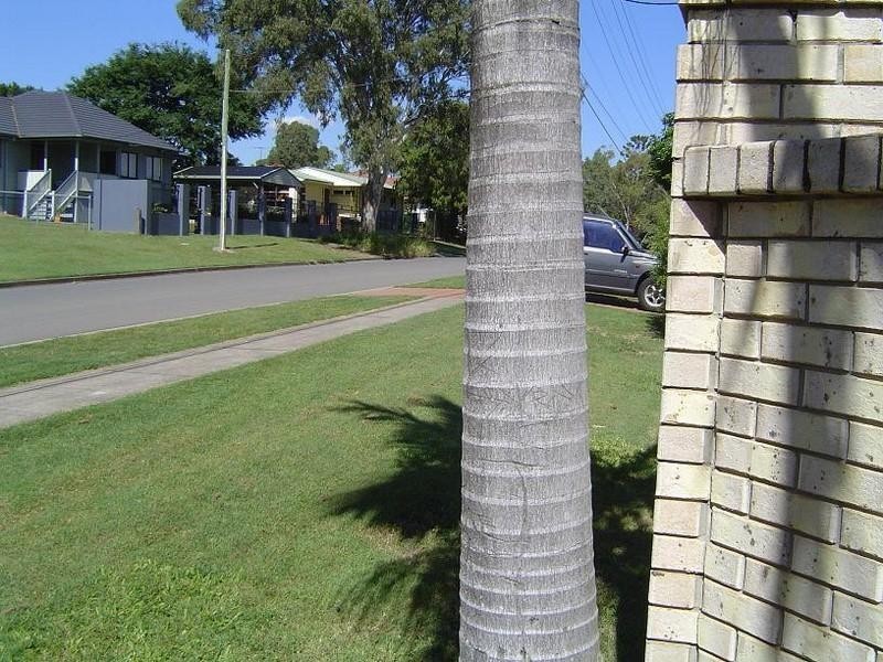 6/21 Stanton Road, Tingalpa QLD 4173