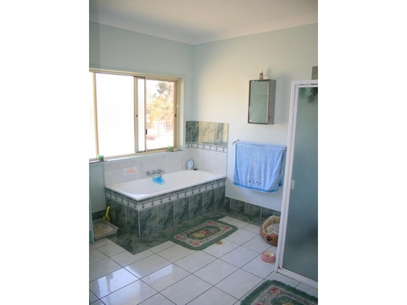 28 Ringtail Court, Greenbank QLD 4124