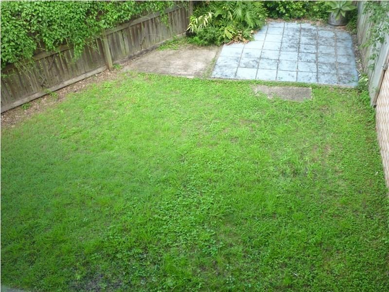 3/29 Corella Place, Runcorn QLD 4113