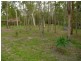 1584 Old Cleveland Road, Belmont QLD 4153