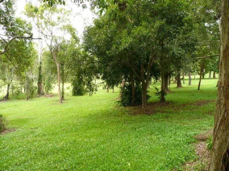 51 Palgrave Street, Tingalpa QLD 4173