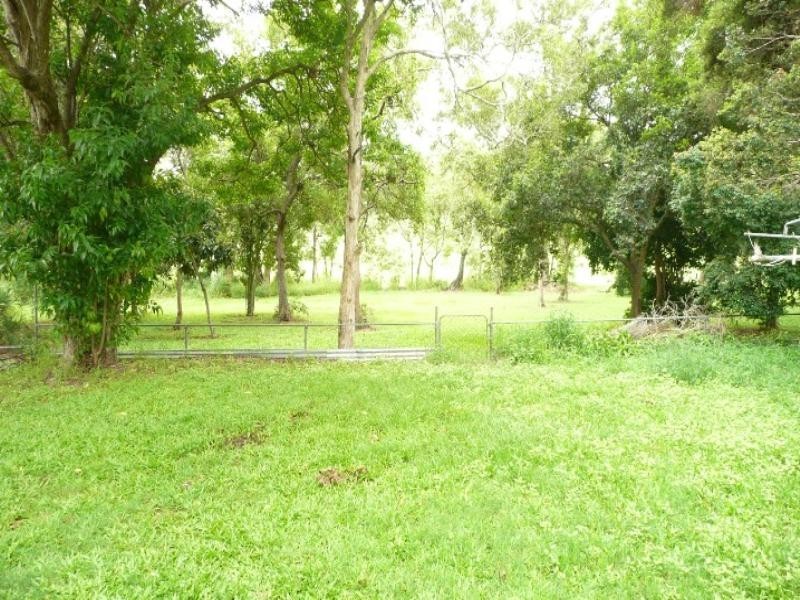 51 Palgrave Street, Tingalpa QLD 4173