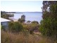 31 Barramundi Street, Macleay Island QLD 4184