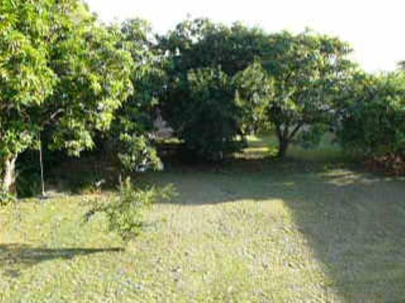 98 Sherwood Road, Rocklea QLD 4106