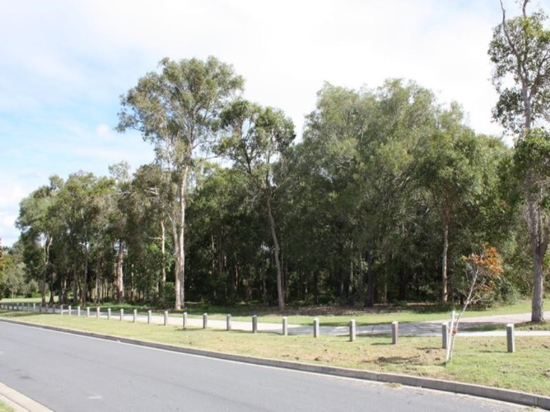 41 Olsen Crescent, Wakerley QLD 4154