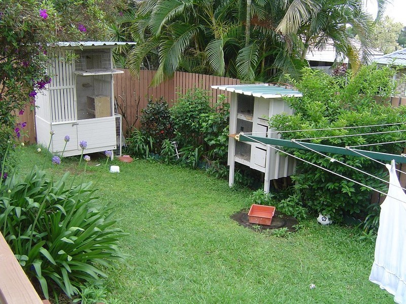 37 Lindeman Place, Tingalpa QLD 4173