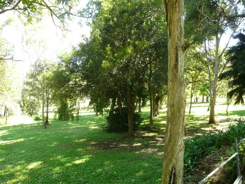 51 Palgrave Street, Tingalpa QLD 4173