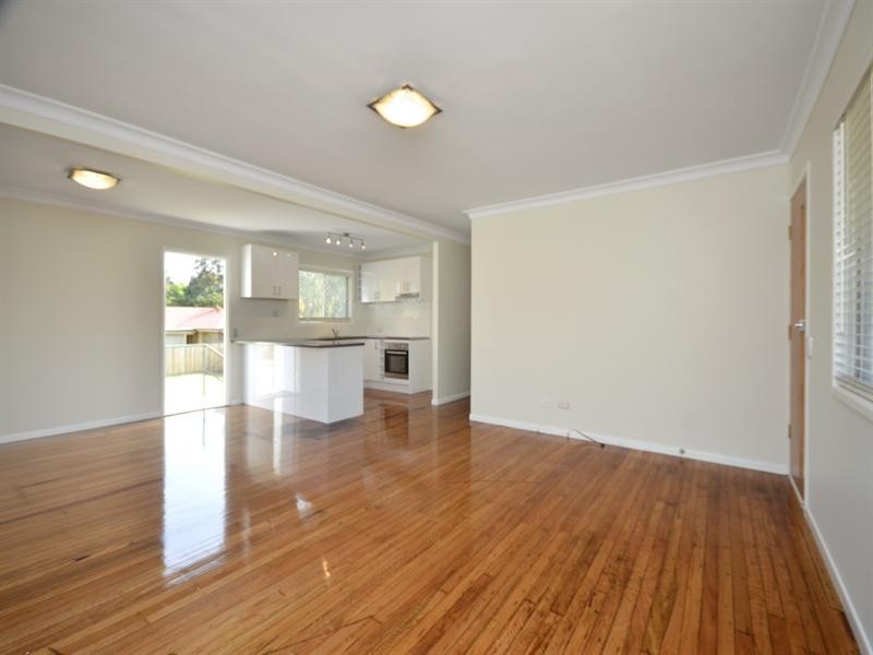 17 Greenslade Street, Tingalpa QLD 4173