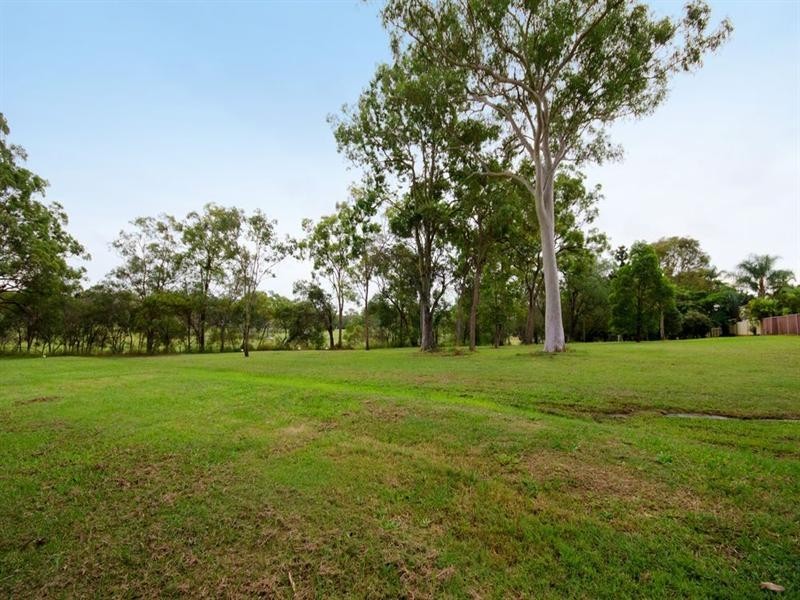 15 Ryedale Street, Tingalpa QLD 4173