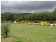 381 Townsend Road, Stanthorpe QLD 4380